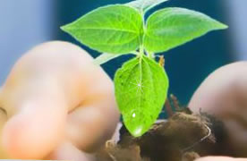 ��¡���F�о�¡Һ���O�䣨���F�����޹�˾